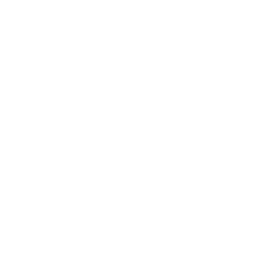 Vell Logo